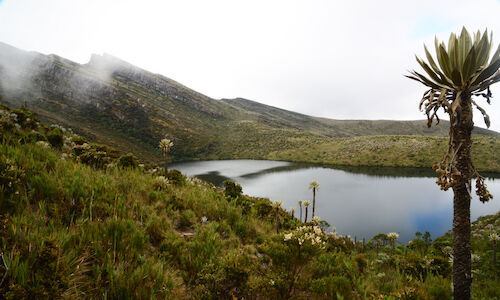El Parque Nacional Natural Chingaza ecoturismo a dos horas de Bogot 