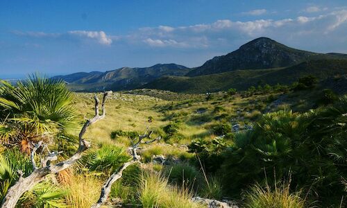 El parque natural del Llevant se convertir en el ms amplio de las Islas Baleares 