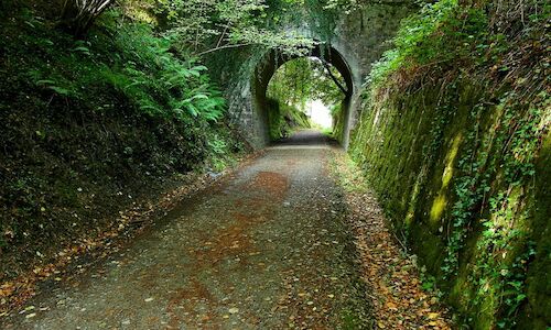 La Va Verde Plazaola potencia el turismo de naturaleza de Euskadi 
