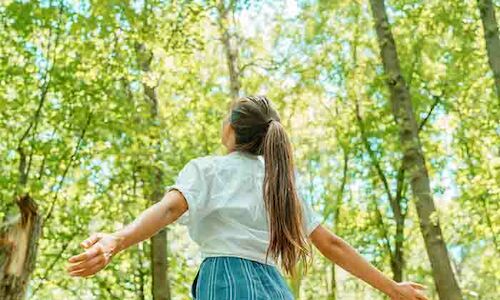Si necesitas un respiro Castilla y Len te espera con Bosques para la salud 