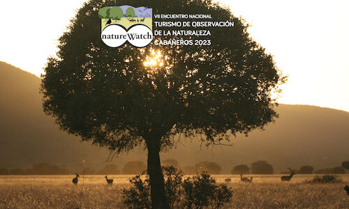 El bosque mediterrneo protagonista del prximo NatureWatch 