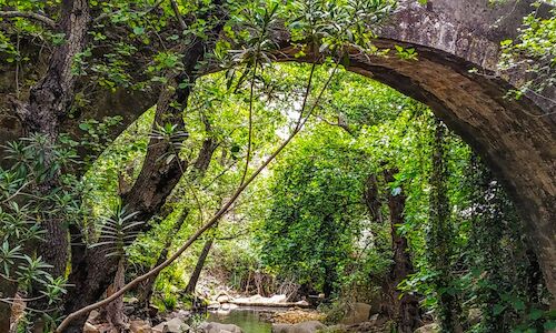 El parque natural del Estrecho cumple 20 aos  