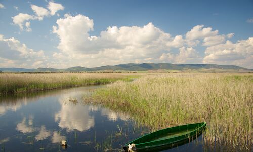 A un paso de la marca Reserva de la Biosfera de la Mancha Hmeda
