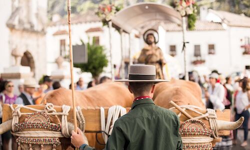 Mejores destinos para disfrutar de una romera por San Isidro Labrador  