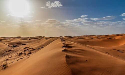 Descubren unos yacimientos que confirman que el Sahara fue verde  