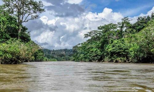 Parques Nacionales Naturales de Colombia apuesta por la conservacin del Paramillo 