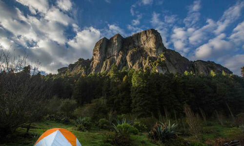 Descubre el ecoturismo del Salto de Tarzn de Mxico 