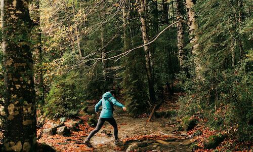 Buscas disfrutar del paisaje otoal Te traemos las mejores rutas senderistas 