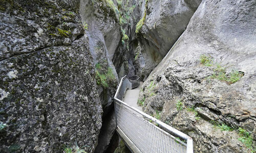 El Parque Natural Sabinares del ArlanzaLa Yecla obtiene el certificado sostenible