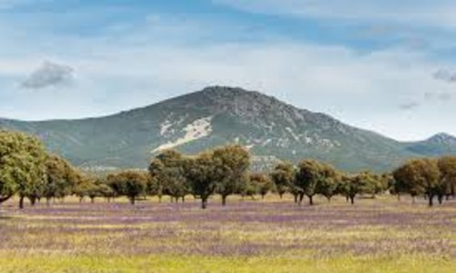 Asesora y dinamizacin para experiencias de ecoturismo en CastillaLa Mancha 