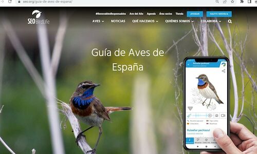 SEOBirdLife incorpora 88 nuevas especies a su gua de aves 