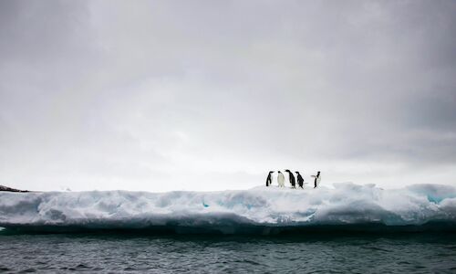 Cientficos canadienses y espaoles crean un observatorio en el ocano Antrtico