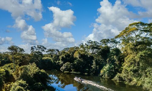 La mitad de la Amazona podra desaparecer en 2050 alterando el clima de la Tierra 