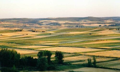 Descubre la naturaleza de la Comarca Mancha JcarCentro en Albacete  