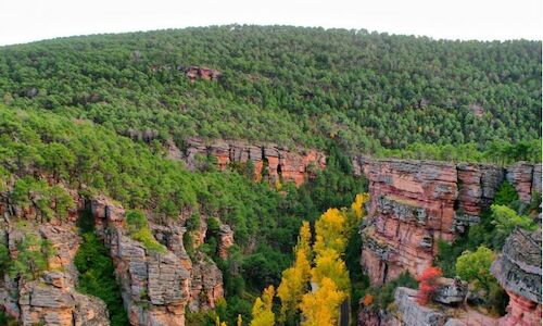 Fundacin Ibercaja organiza conferencias sobre la naturaleza de Guadalajara 