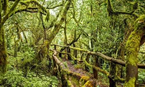 Sabes cul fue el primer Parque Nacional de Espaa 