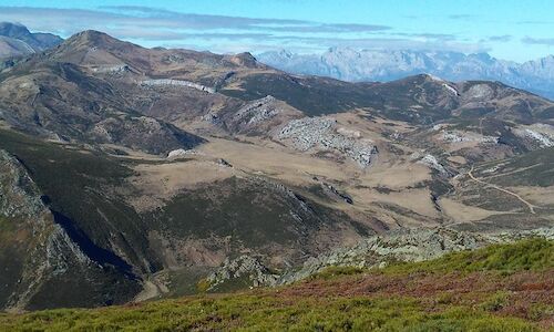 Espaa es el segundo bosque ms grande de Europa 