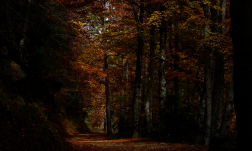 La Rioja concede ayudas a pueblos del Parque Natural Sierra de Cebollera 