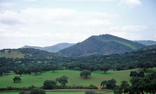 Descubre Sierra de Aracena y Picos de Aroche con actividades ecotursticas