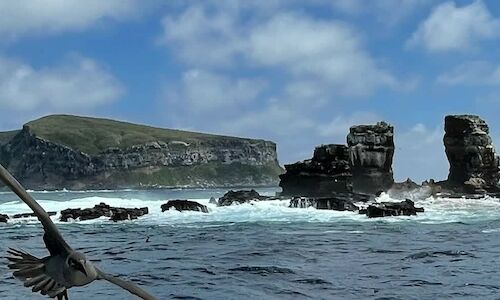 Ecuador amplia la reserva en Galpagos la mayor rea marina protegida 