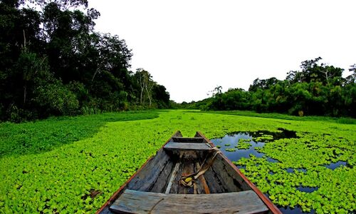 La Amazona ecuatoriana recibir ayudas desde Noruega