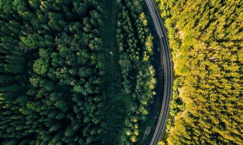 Frenar la deforestacin es imprescindible para detener el cambio climtico 