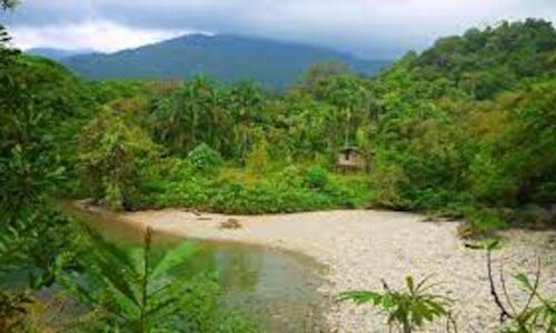 Parques Naturales de Colombia reciben 50 mil millones para su fortalecimiento 