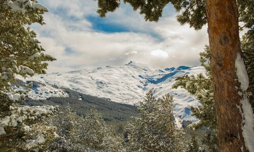 Noviembre de I Festival de Ecoturismo en Sierra Nevada 