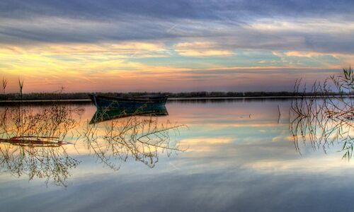   La Albufera de Valencia hogar de ms de 12000 flamencos  