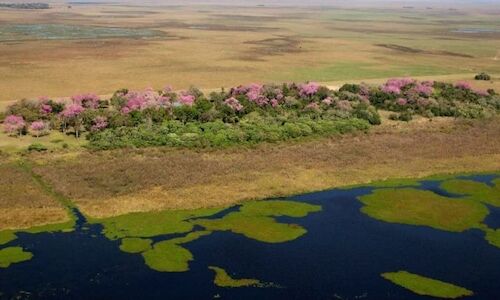 El Parque Nacional Iber en Argentina reabre sus puertas tras los incendios 