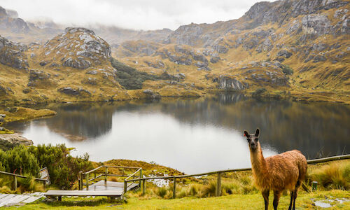 Los turistas latinoamericanos apuestan por el ecoturismo de sus zonas 