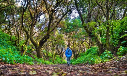 El 95 de los espaoles demandan ecoturismo para sus viajes  