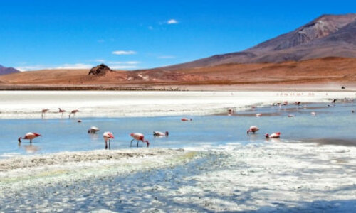 Los parques naturales de Chile en peligro por los yacimientos mineros 