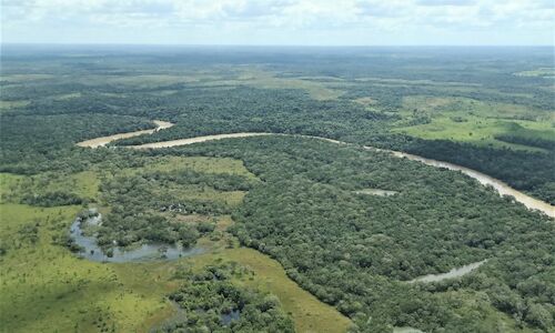 Un solo uso muchos daos campaa para conservar los parques de Colombia 