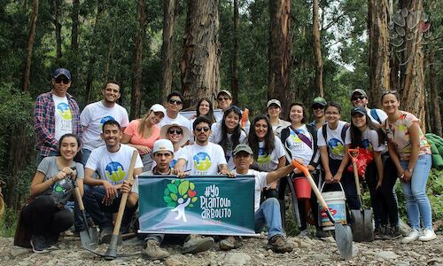 Yo planto un arbolito iniciativa para la reforestacin urbana en Bolivia 