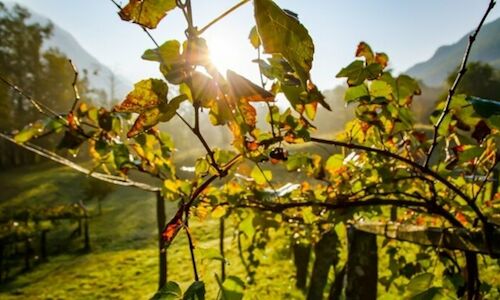 El Parlamento Europeo aprueba la Ley de Restauracin de la Naturaleza 