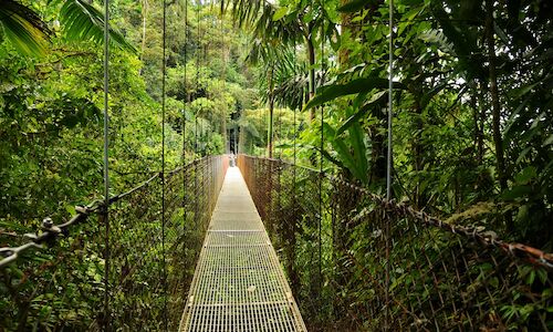 Destinos ecolgicos que debes conocer de Latinoamrica 