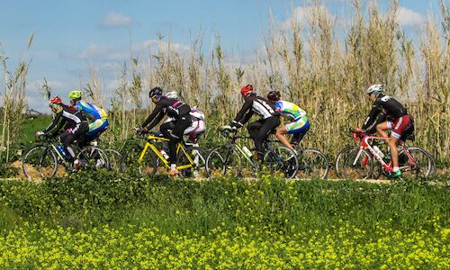 Activa Canarias apuesta por las buenas prcticas del ciclismo en la naturaleza 