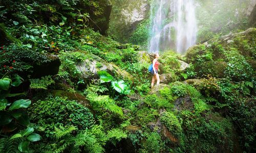 Las mejores actividades para practicar ecoturismo esta primavera