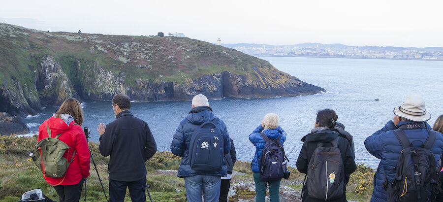 NatureWatch Galicia 2022 concluye con xito de participacin 