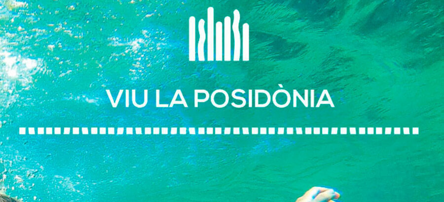 Vive la posidonia actividades para concienciar sobre la Posidonia ocenica 