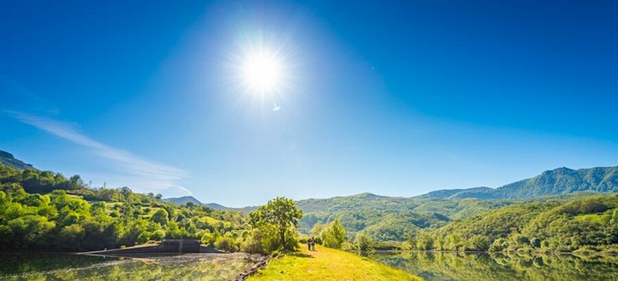 Un 44 de La Tierra debe ser conservada para preservar la biodiversidad