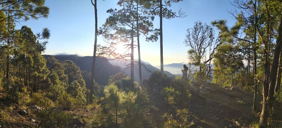 Reserva de la Biosfera Sierra de Manantln