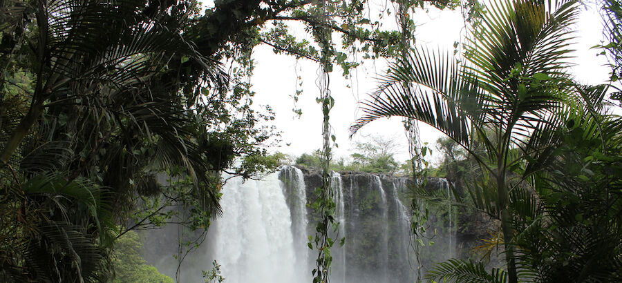 Selva del Marinero ecoturismo para defender la Reserva de la Biosfera Los Tuxtlas 