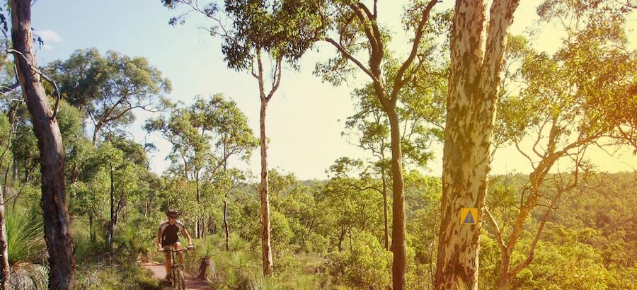 Munda Biddi Trail Australia Occidental 