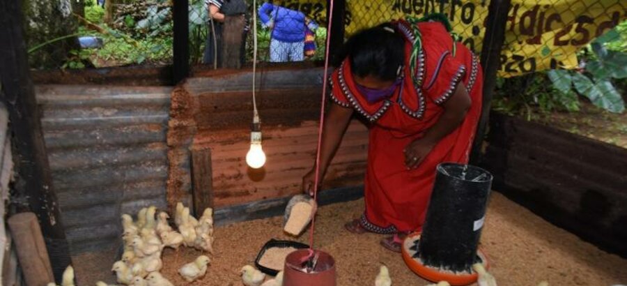 Las mujeres de Panam apuestan por los proyectos agrcolas sostenibles 