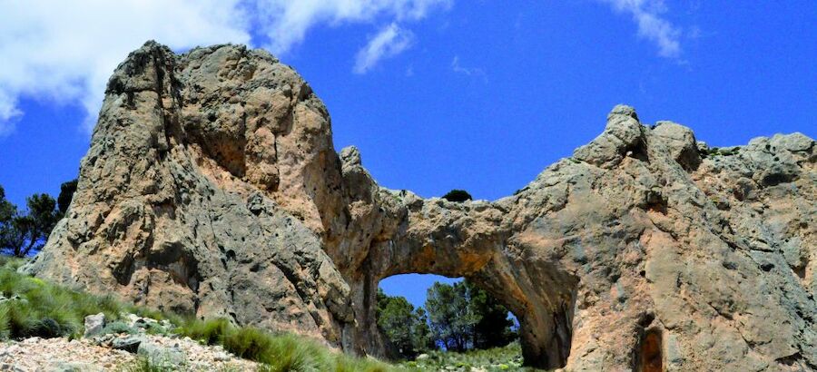 El Parque Natural Sierra MaraLos Vlez fue visitado por 25766 personas en 2021 