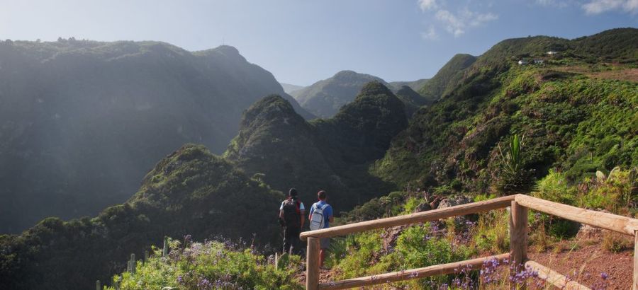 La Reserva de la Biosfera de La Palma en continua recuperacin  