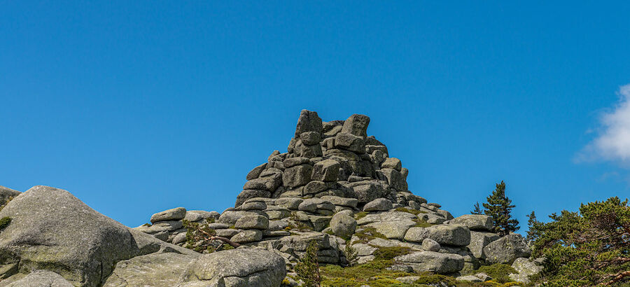 10 aos del Parque Nacional de la Sierra Guadarrama  