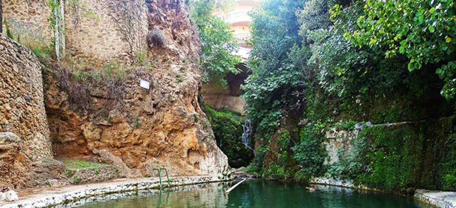 Charco de Las Canales en Albacete